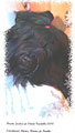 Blota Hunka des 4 Plumes Noires - Finland