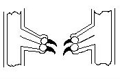   2