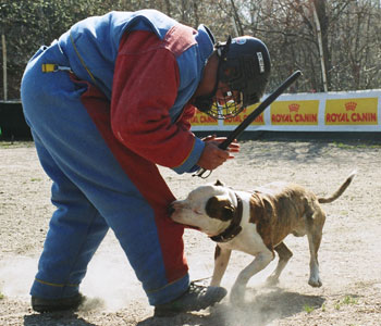 + ring24040413.jpg +