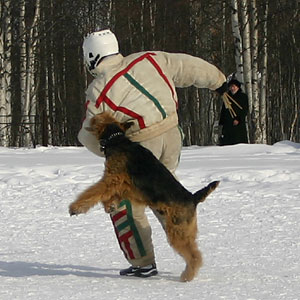 + ring26030510.jpg +