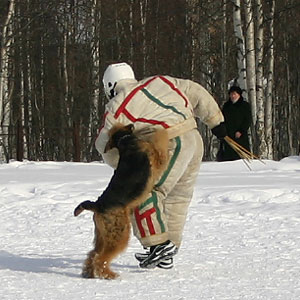 + ring26030511.jpg +