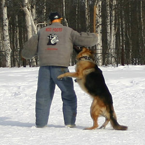 + ring26030512.jpg +