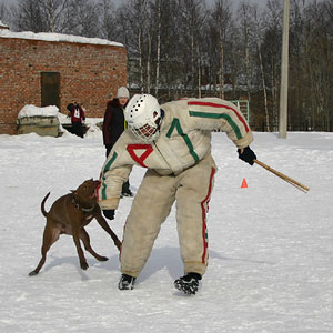 + ring26030514.jpg +