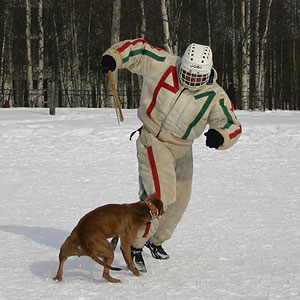 + ring26030515.jpg +