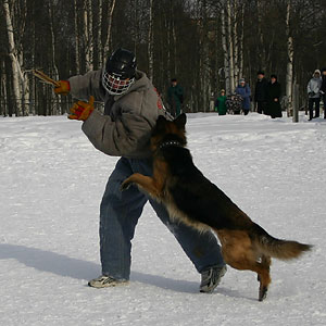 + ring26030516.jpg +