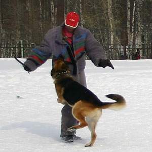 + ring26030517.jpg +