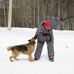 + ring26030519.jpg +