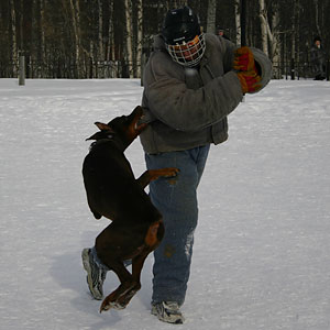 + ring26030521.jpg +