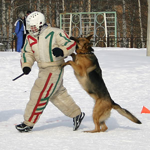 + ring26030522.jpg +