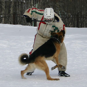 + ring26030523.jpg +