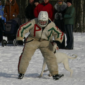 + ring26030524.jpg +