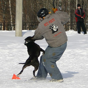 + ring26030525.jpg +