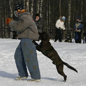 + ring26030526.jpg +