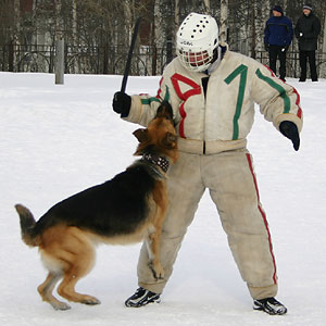 + ring26030527.jpg +