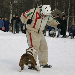 + ring26030528.jpg +