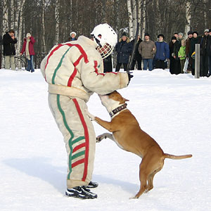 + ring26030531.jpg +