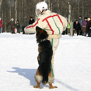 + ring26030532.jpg +