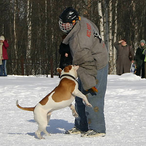 + ring26030535.jpg +