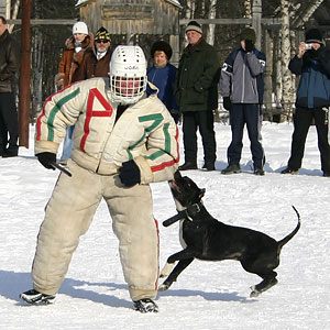 + ring26030536.jpg +