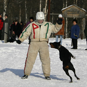 + ring26030537.jpg +