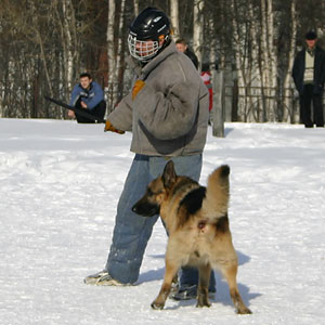 + ring26030539.jpg +