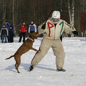 + ring26030541.jpg +