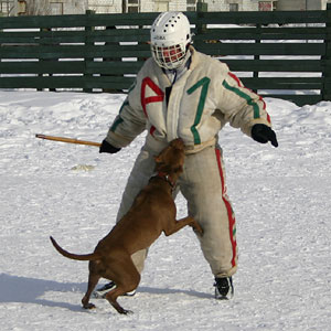 + ring26030543.jpg +