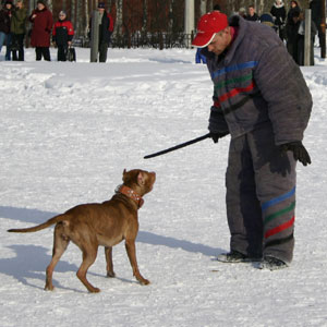 + ring26030544.jpg +