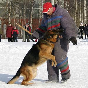 + ring26030547.jpg +