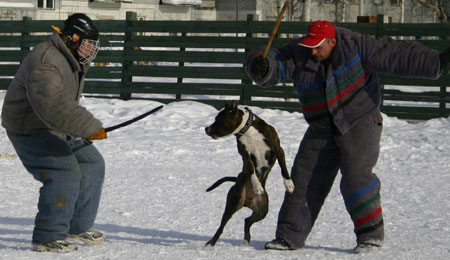 + ring26030549.jpg +