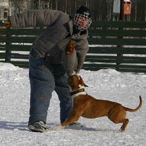 + ring26030550.jpg +