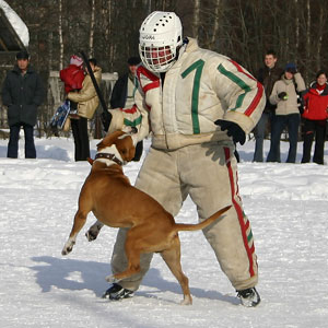 + ring26030551.jpg +