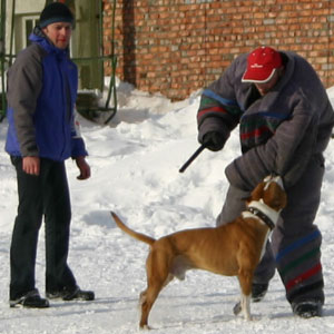 + ring26030552.jpg +