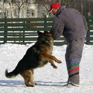 + ring26030559.jpg +