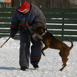 + ring26030560.jpg +