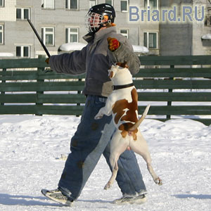 + ring26030564.jpg +