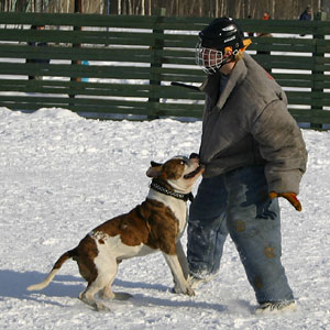 + ring26030565.jpg +