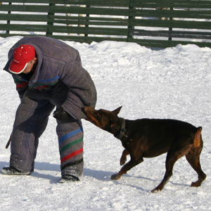 + ring26030567.jpg +