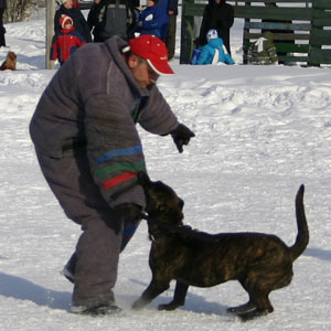 + ring26030568.jpg +