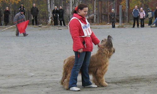 + ring30090601.jpg +