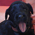 , 20 , oo: Aao, 300x300p, 23kb