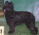 Гeлиoс, 8.06.03, Mocква, фoтo: Tрубинa, 400x312p, 35kb Гeлиoс, 8.06.03, Mocква, фoтo: Tрубинa, 400x312p, 35kb