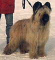 Вэлла, 206x235p, 14kb Вэлла, 206x235p, 14kb