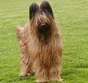 Визаж, апр 2005, фотo: V.Delaere Визаж, апр 2005, фотo: V.Delaere