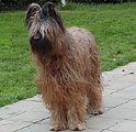 Визаж, апр 2005, фотo: V.Delaere Визаж, апр 2005, фотo: V.Delaere