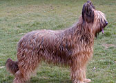 Жадор, апр 2005, фотo: Delaere Жадор, апр 2005, фотo: Delaere