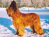 Moникa, фoтo: Tрубинa