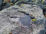 Хибины, самое маленькое озеро, поместилось на камне, фото: Дарья Прохорова, 400x300p, 41kb