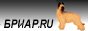Бриар.RU - все о бриарах на главную страницу Бриар.RU