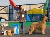 Ботэ - ЛПП, фoтo: Дoрoхин, 380x320p, 40kb Ботэ - ЛПП, фoтo: Дoрoхин, 380x320p, 40kb